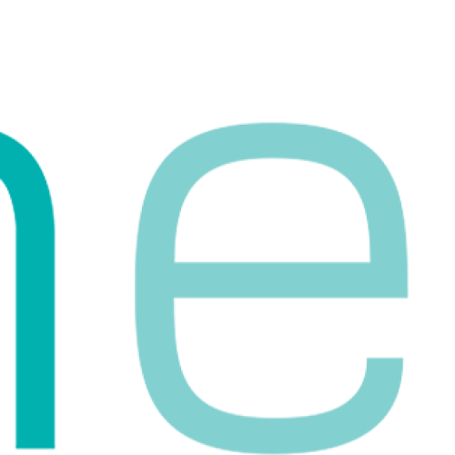 Main-North Eleven Logo